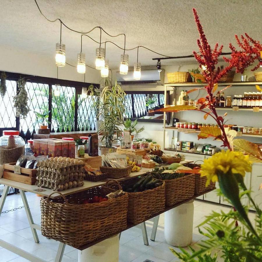 Cinco Hotel B&B San Salvador Zewnętrze zdjęcie