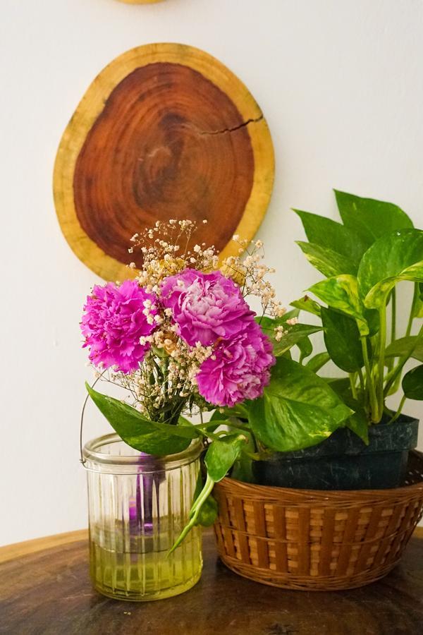 Cinco Hotel B&B San Salvador Zewnętrze zdjęcie